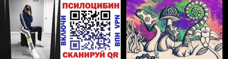 цены   Гай  Галлюциногенные грибы ЛСД 